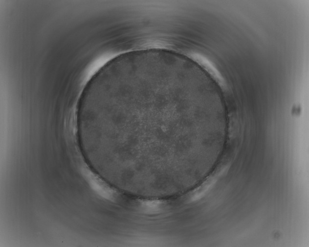 X0000096701031200802051406
