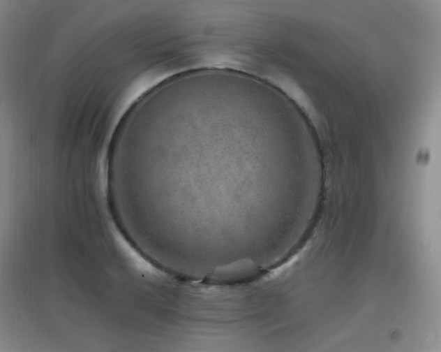 X0000096701032200802051406
