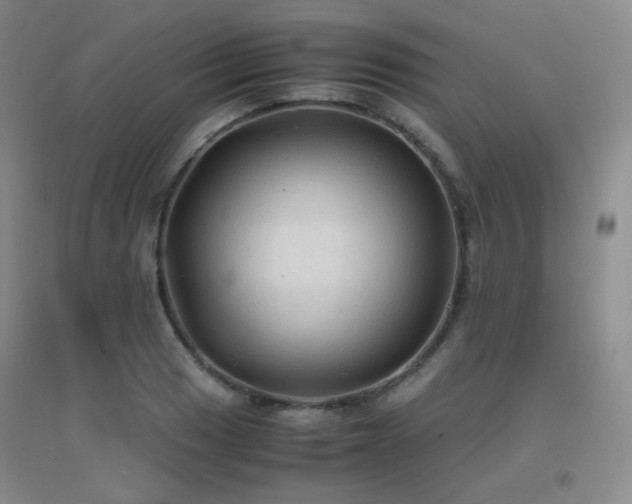 X0000096701033200802051406