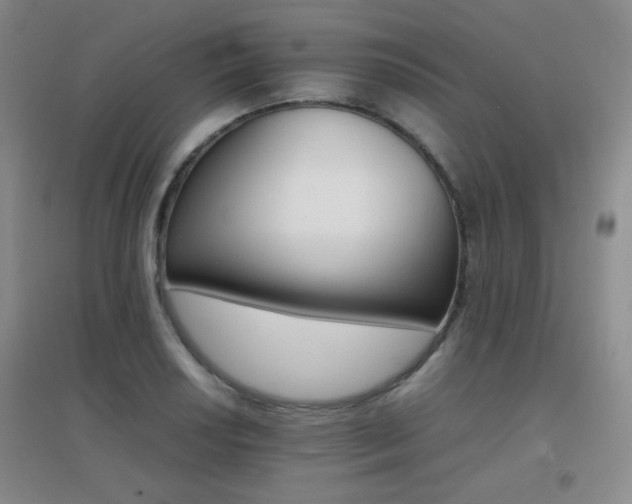 X0000096701034200802051406