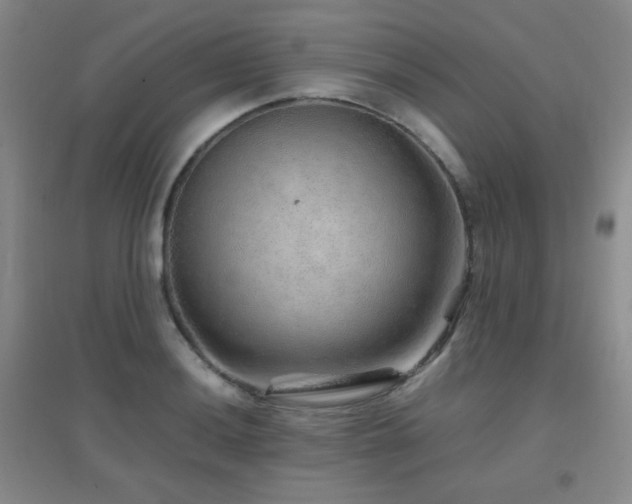 X0000096701036200802051406