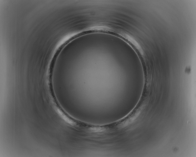 X0000096701037200802051406