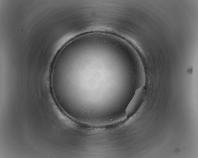 X0000096701038200802051406