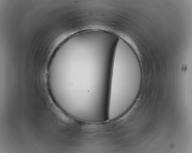 X0000096701040200802051406