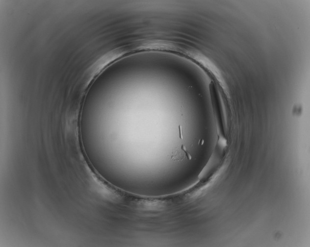 X0000096701041200802051406