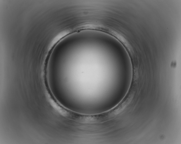 X0000096701042200802051406