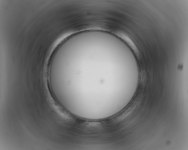 X0000096701043200802051406