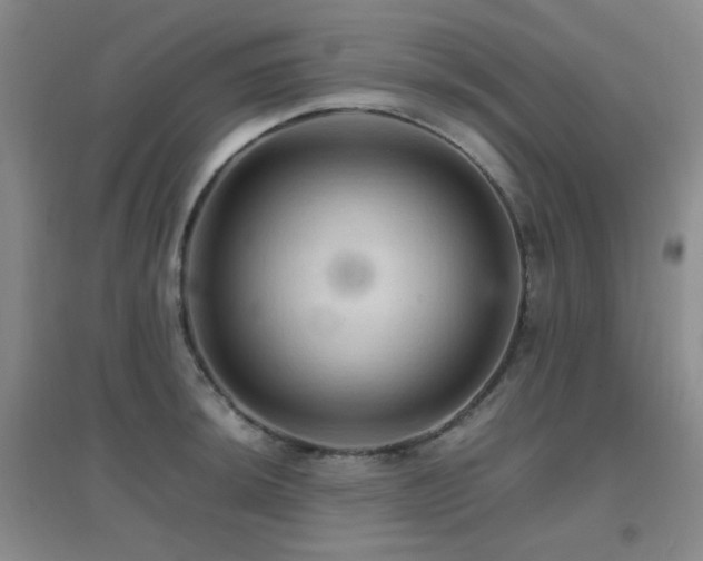 X0000096701044200802051406