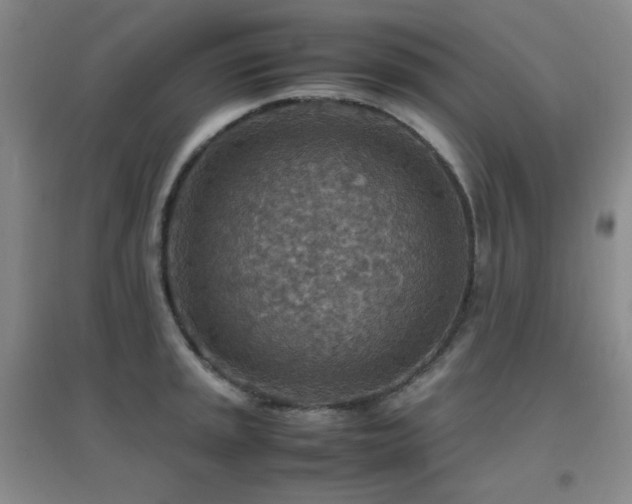 X0000096701045200802051406