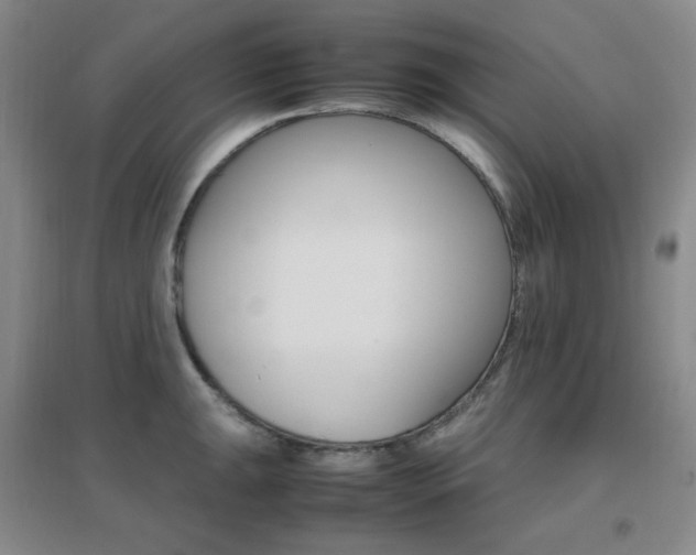 X0000096701047200802051406