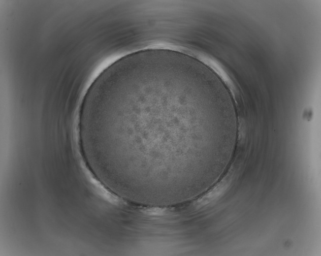 X0000096701048200802051406