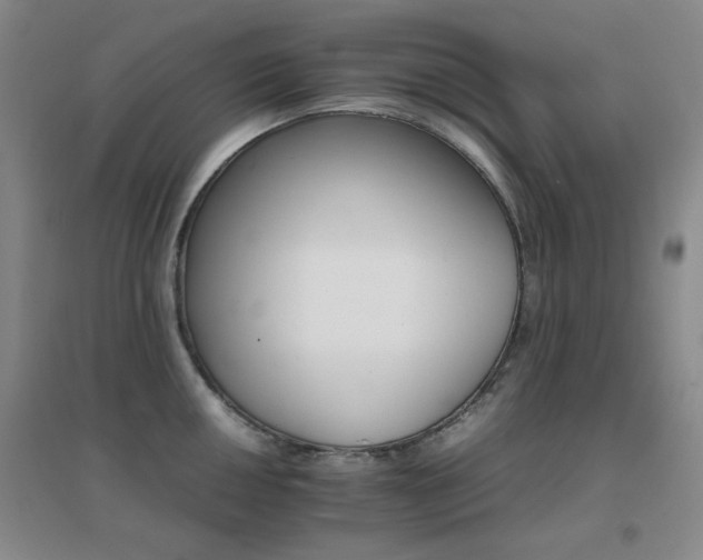 X0000096701050200802051406