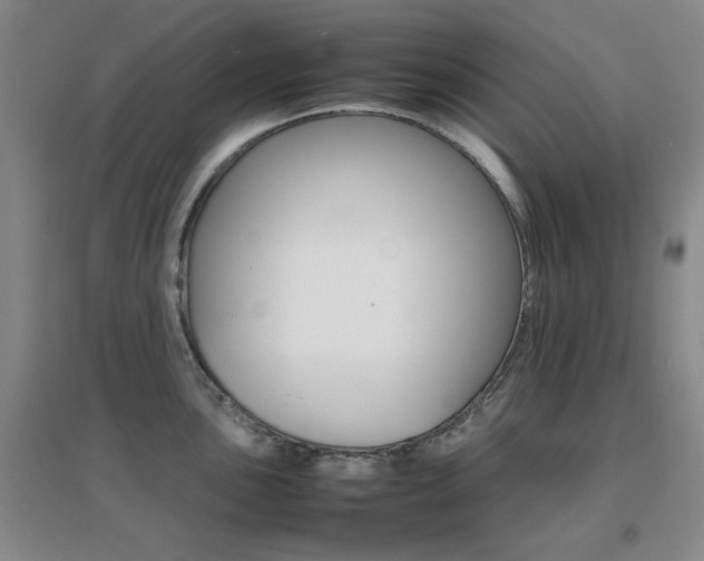 X0000096701051200802051406