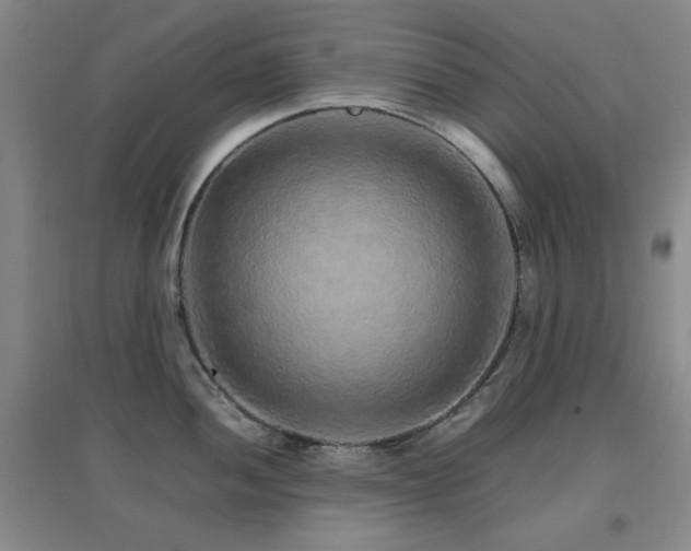X0000096701052200802051406
