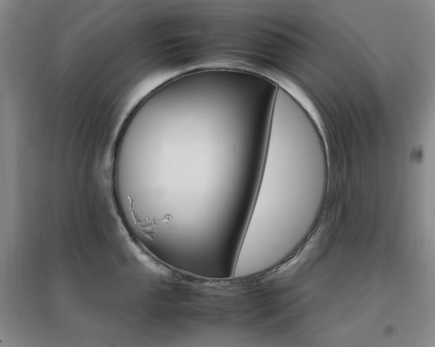 X0000096701053200802051406