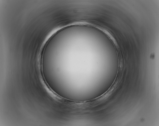 X0000096701054200802051406