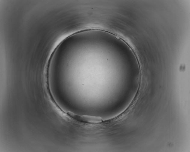 X0000096701056200802051406