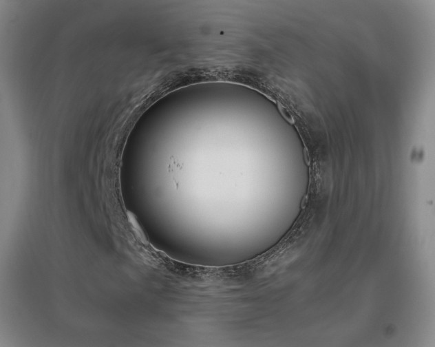 X0000096701057200802051405