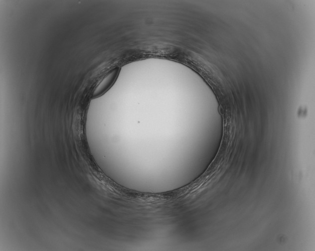 X0000096701058200802051405