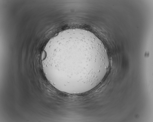 X0000096701059200802051405