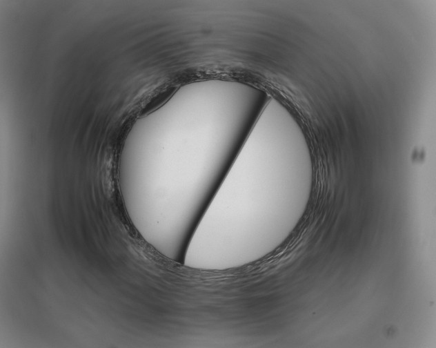 X0000096701060200802051405