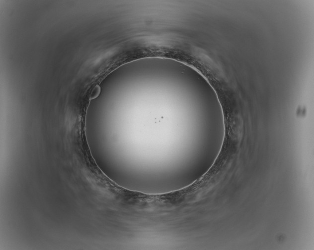 X0000096701061200802051405