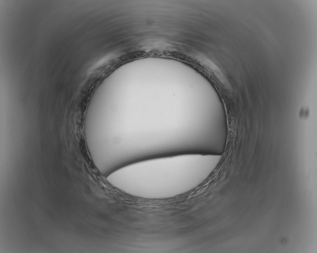 X0000096701063200802051405