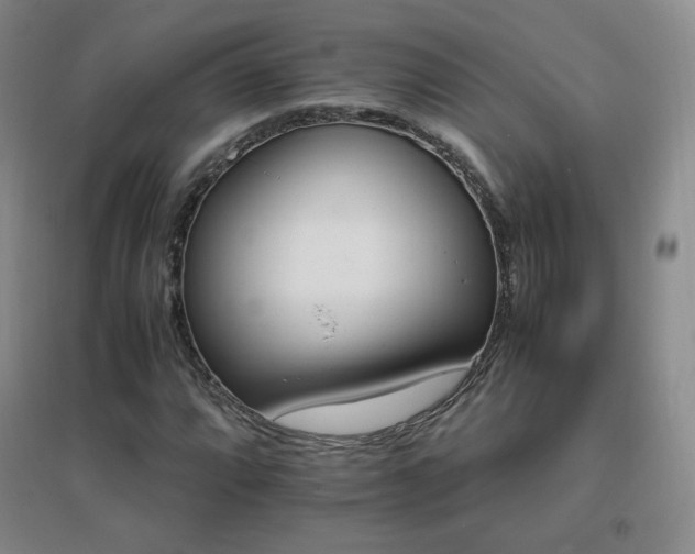 X0000096701064200802051405