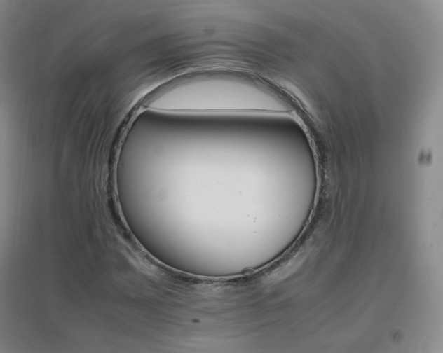 X0000096701065200802051405