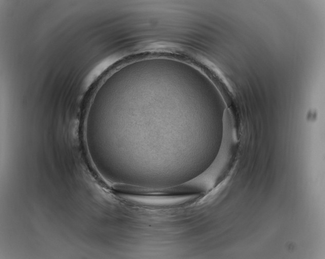 X0000096701066200802051405