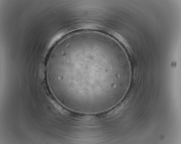 X0000096701067200802051405