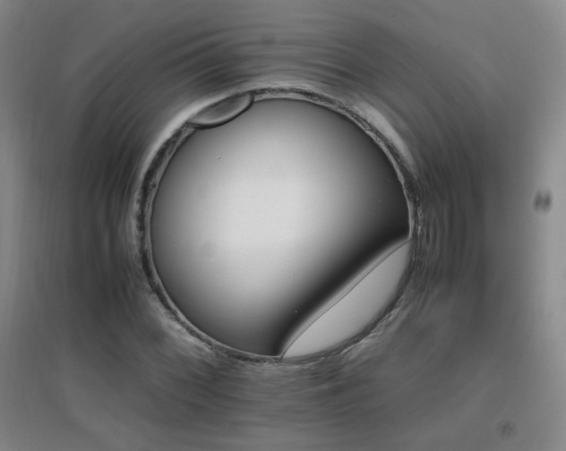X0000096701068200802051405
