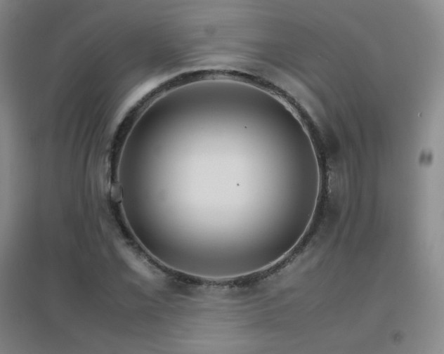 X0000096701069200802051405