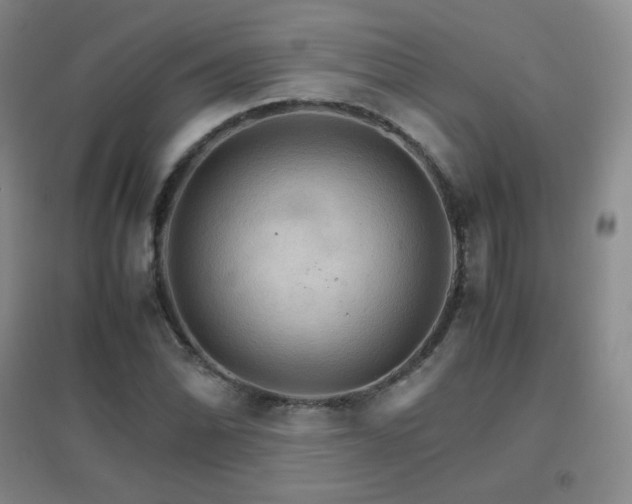 X0000096701070200802051405
