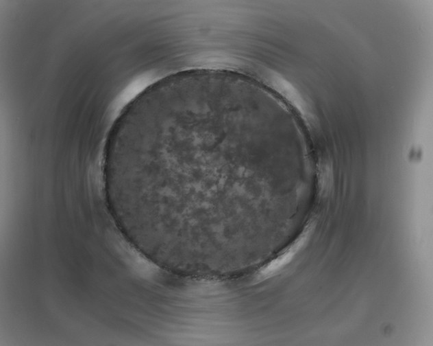 X0000096701071200802051405