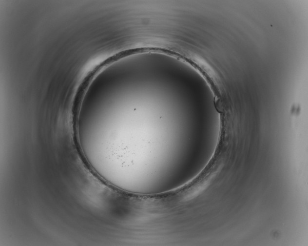 X0000096701072200802051405