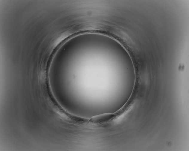 X0000096701073200802051405