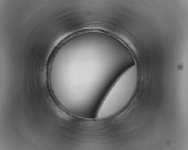 X0000096701076200802051405
