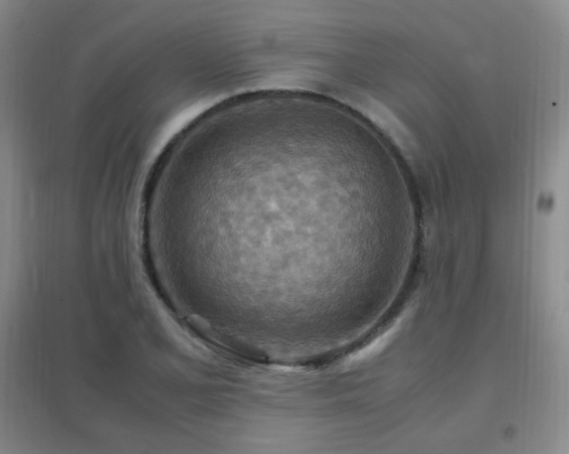 X0000096701077200802051405