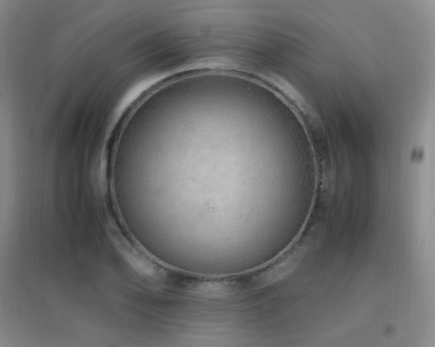 X0000096701078200802051405