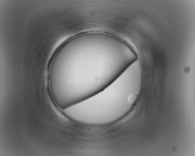 X0000096701079200802051405
