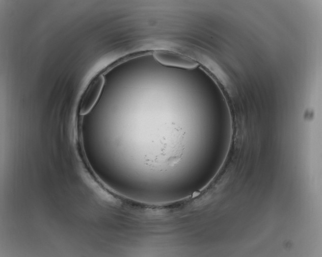 X0000096701080200802051405