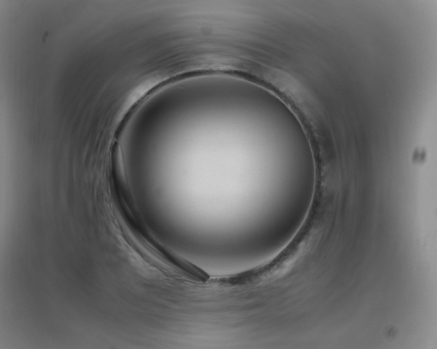 X0000096701081200802051405