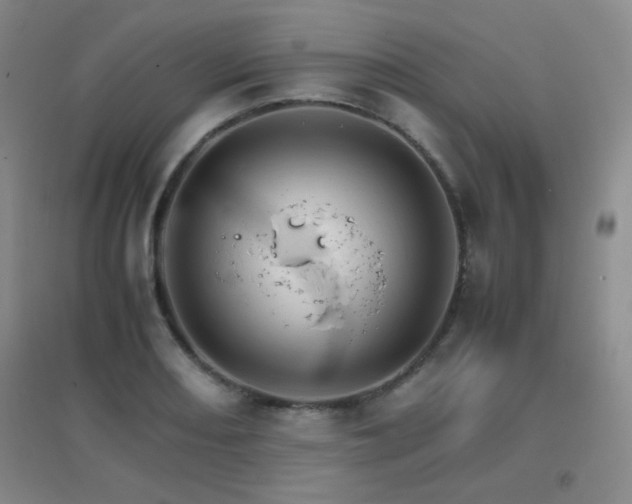X0000096701082200802051405