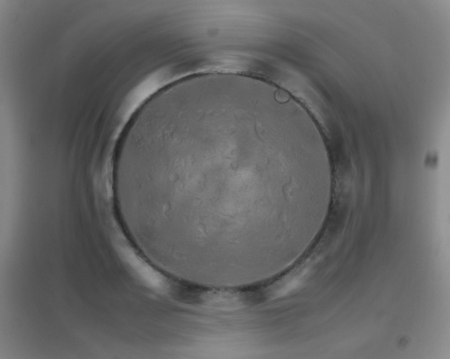 X0000096701083200802051405