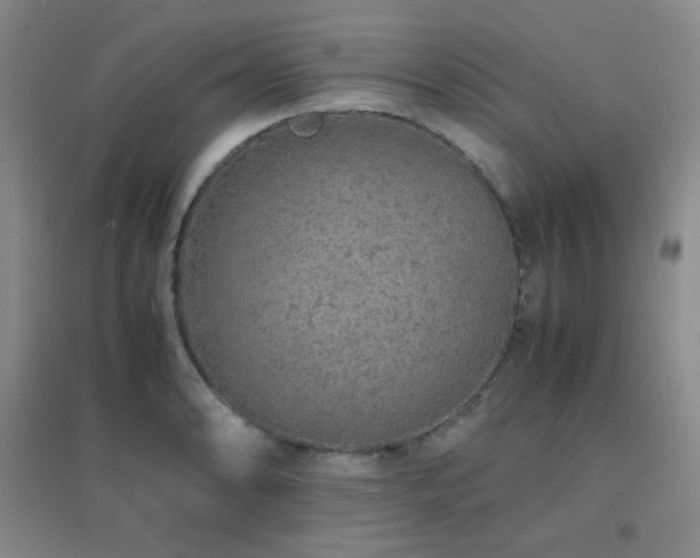 X0000096701086200802051405