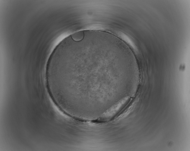 X0000096701087200802051405