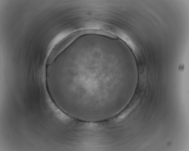 X0000096701088200802051405