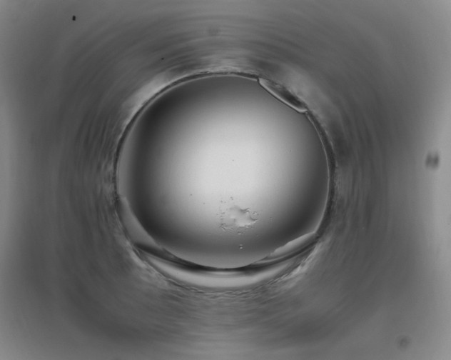 X0000096701089200802051405