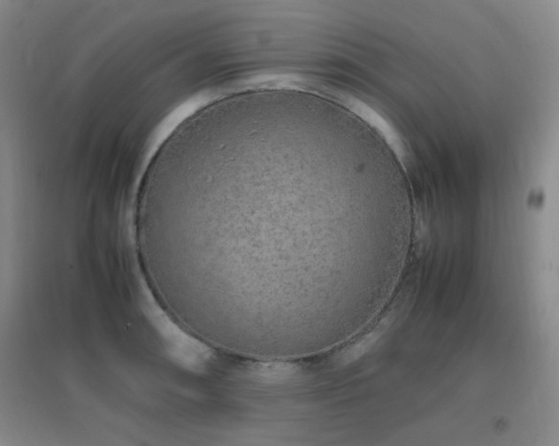 X0000096701090200802051405